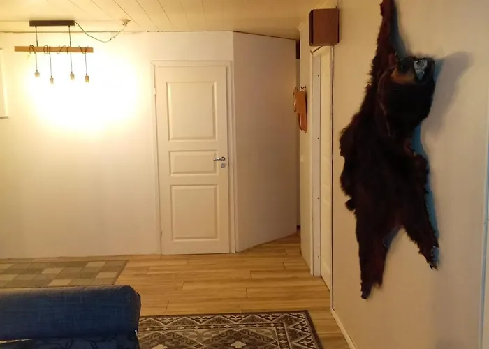 Cozy Traditional Lappish House