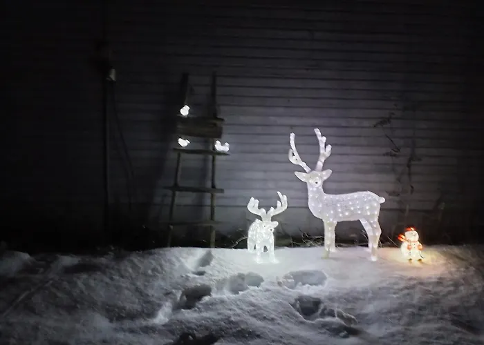 别墅 Cozy Traditional Lappish House *