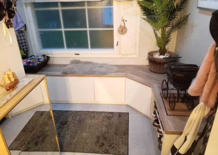 Cozy Traditional Lappish House