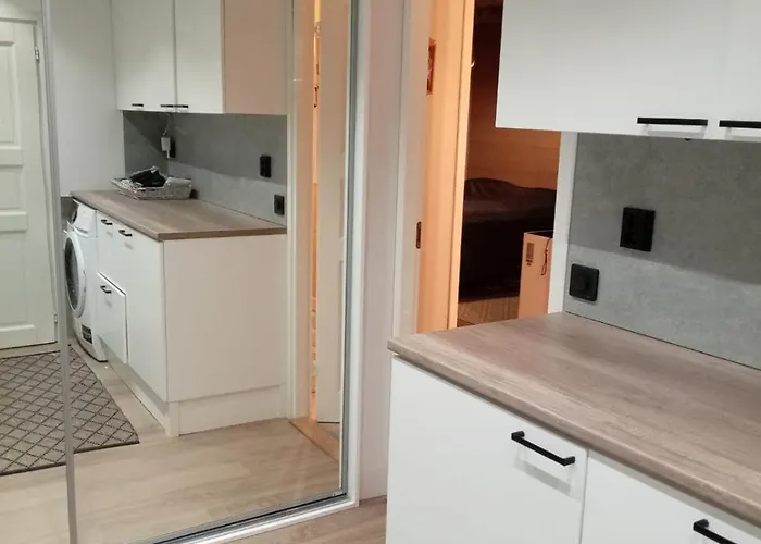 Cozy Traditional Lappish House